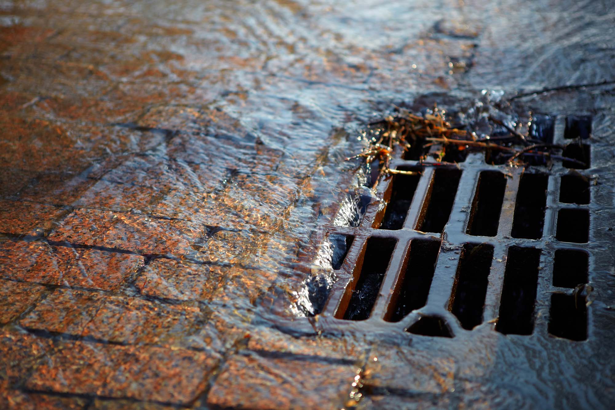 Metal storm drain cover after street cleaning on sunny day