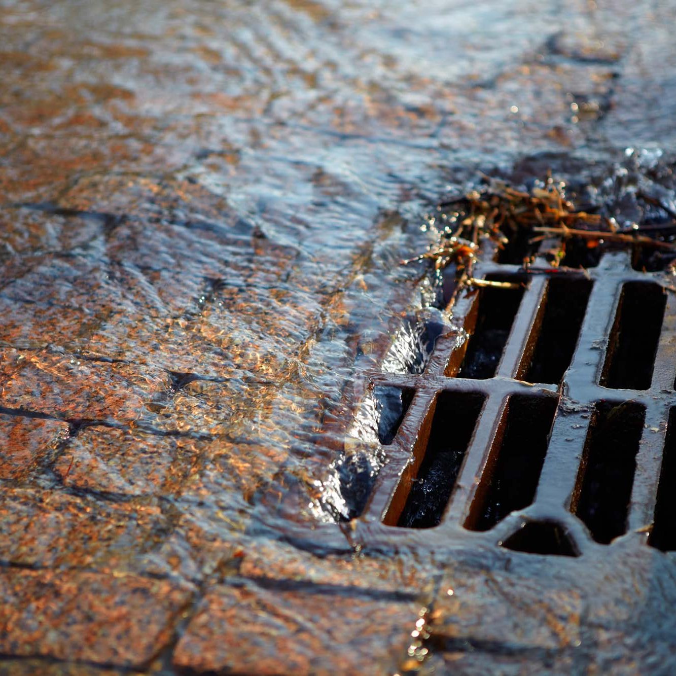 Metal storm drain cover after street cleaning on sunny day